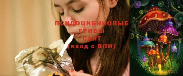 хмурый Алексеевка