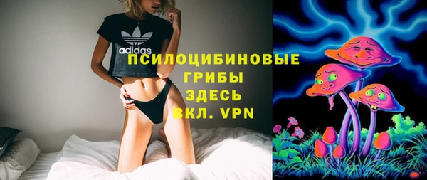хмурый Алексеевка